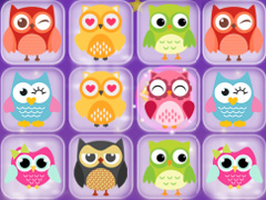 Owl240
