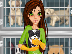240x180 animal shelter